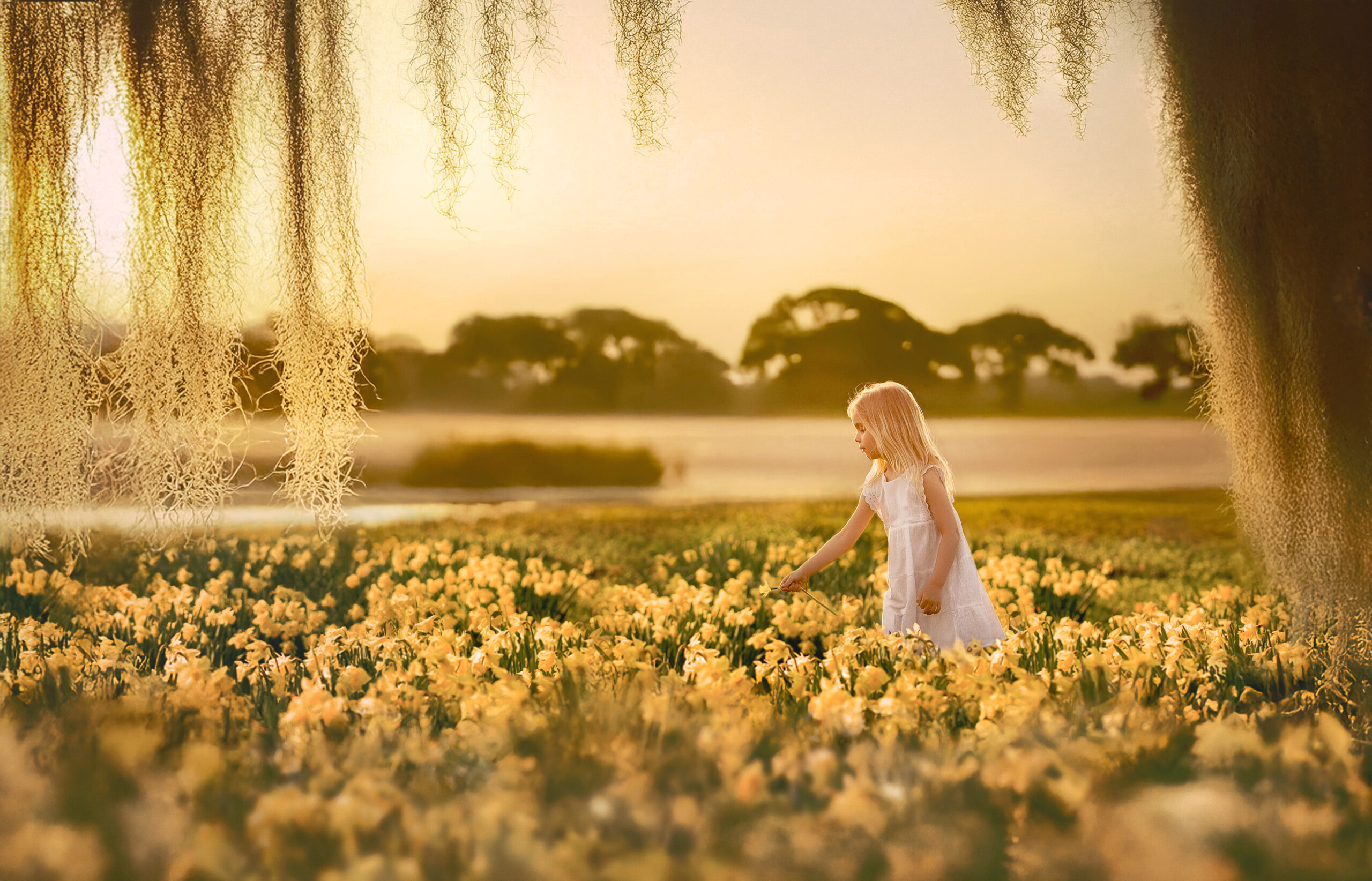 a girl in a field of daffodils on Kane Island
