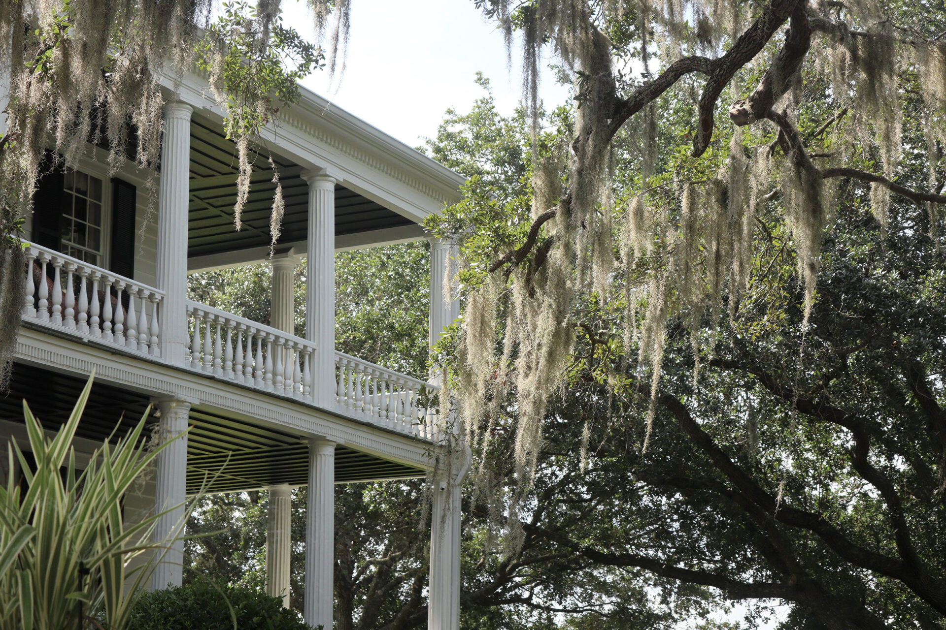 Colorful,Mural,In,Beach,Town,Beaufort,,North,Carolina