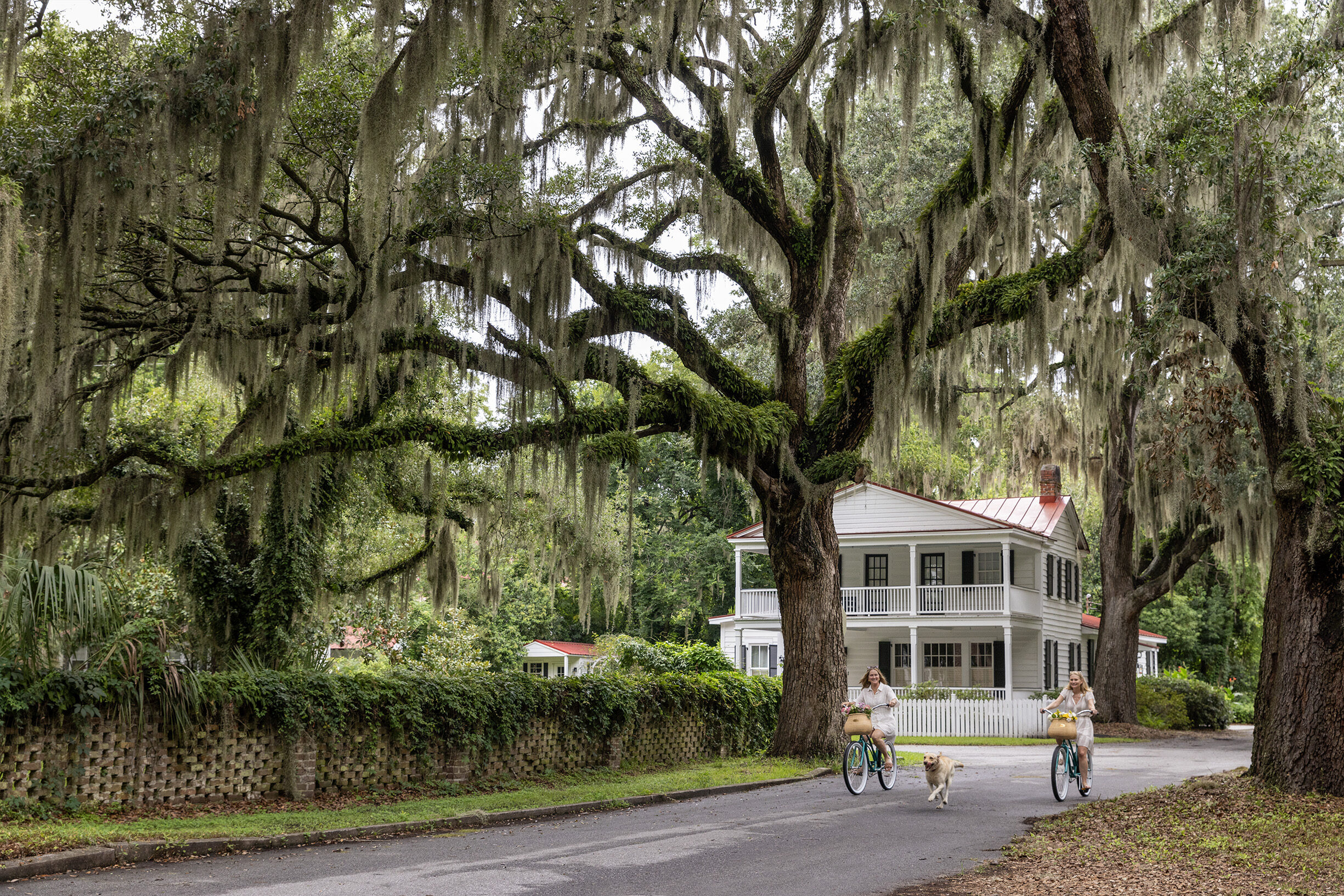 Kane island beaufort biking