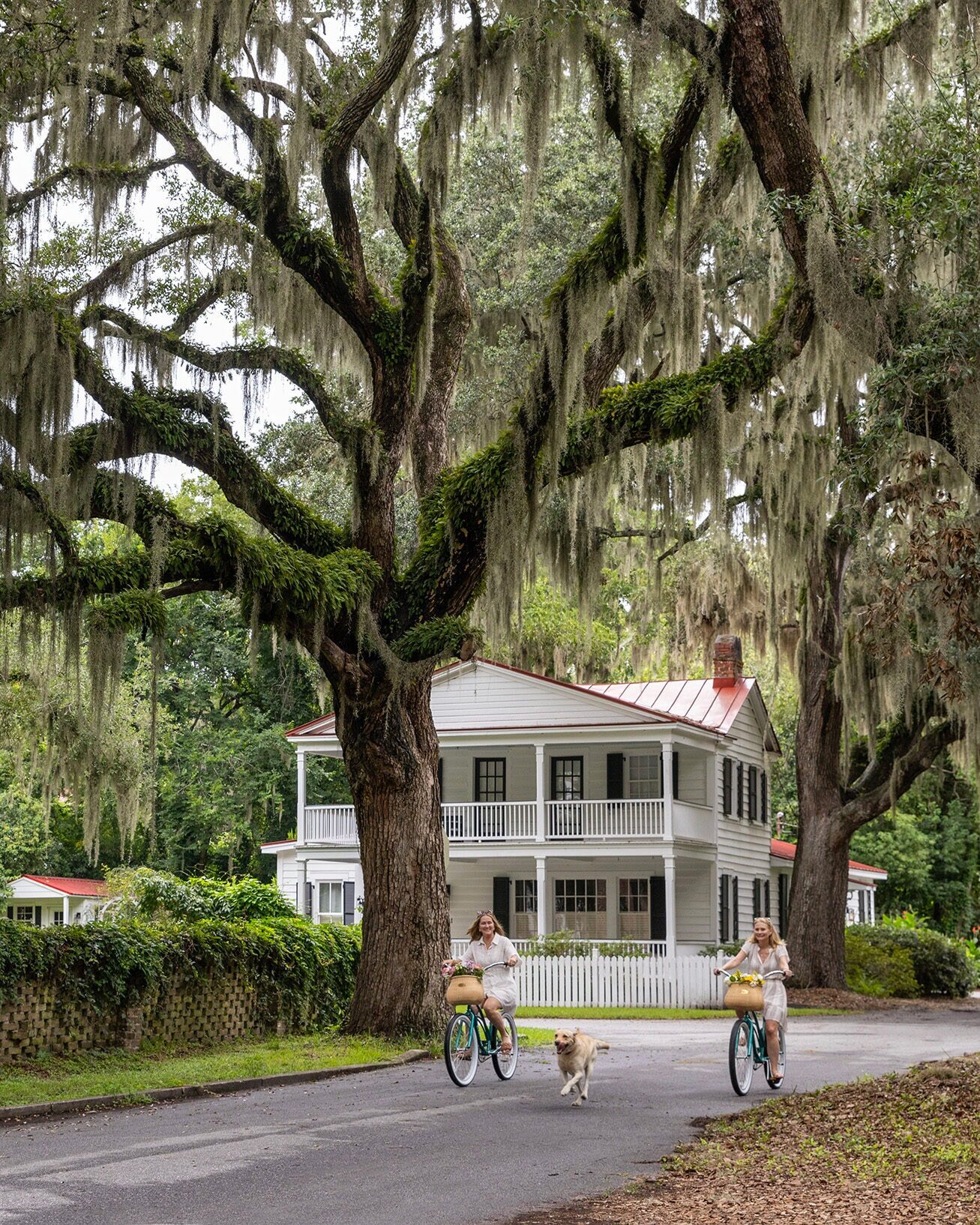 Kane island beaufort biking mobile